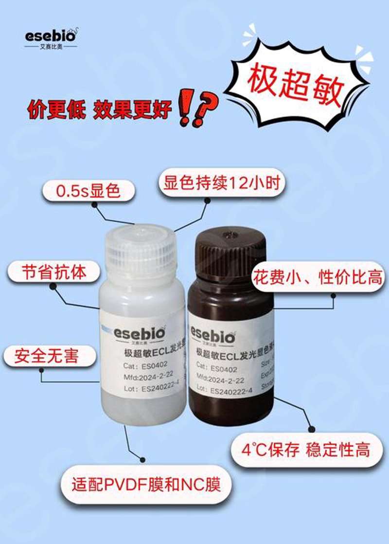 蛋白质组学