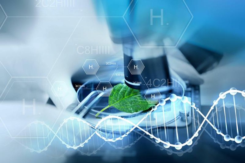 生物科技行业新动态：颠覆传统推动未来